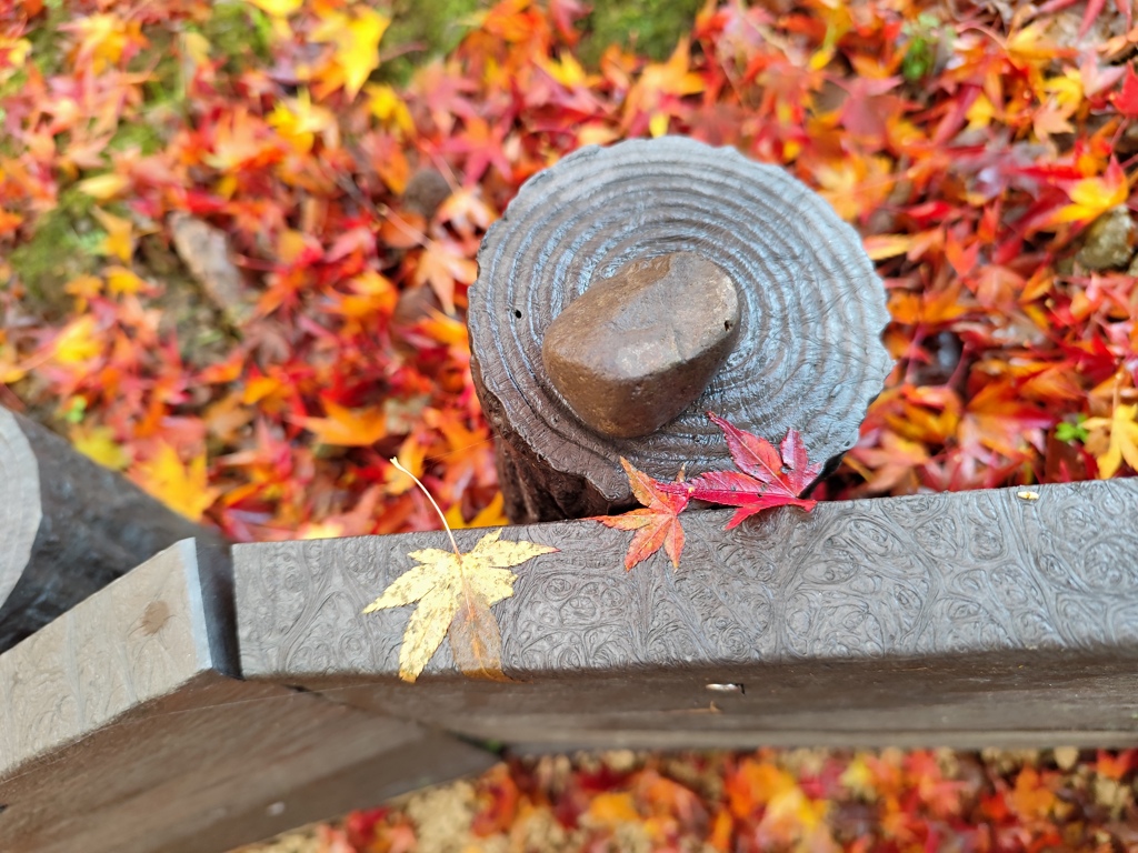 三色紅葉