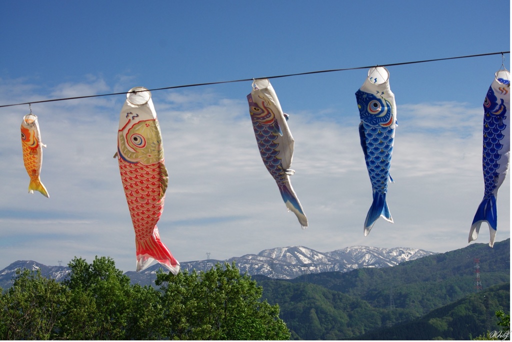 ５月の風景