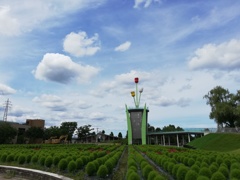 となみチューリップ公園