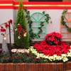 メリークリスマス