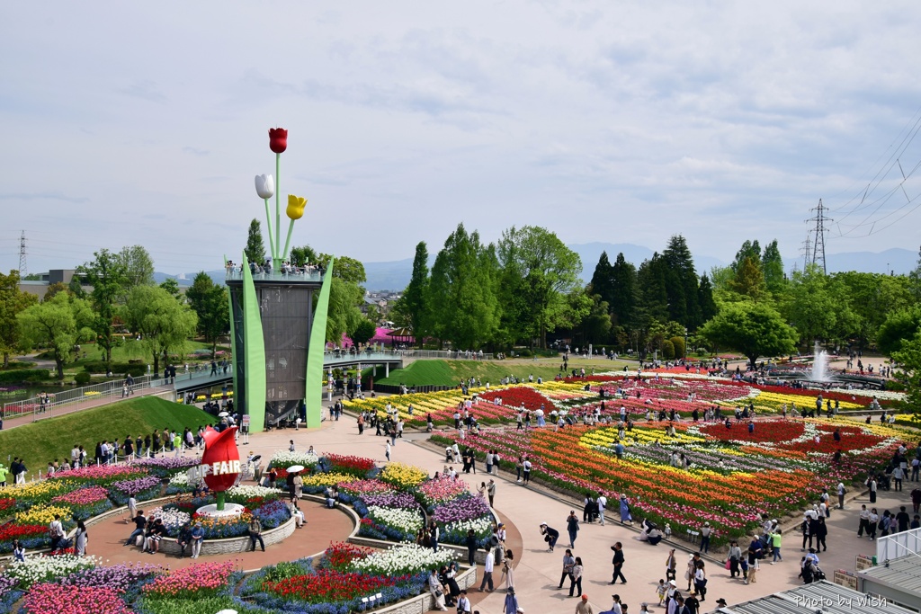 パノラマテラスから見る風景