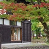 トトロ