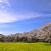 春の風景