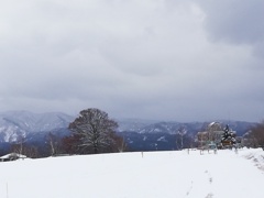 雪原