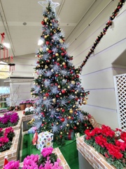 クリスマスツリー