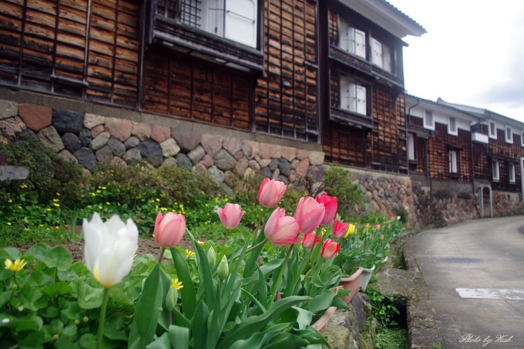 4月の城端土蔵