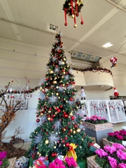 クリスマスツリー