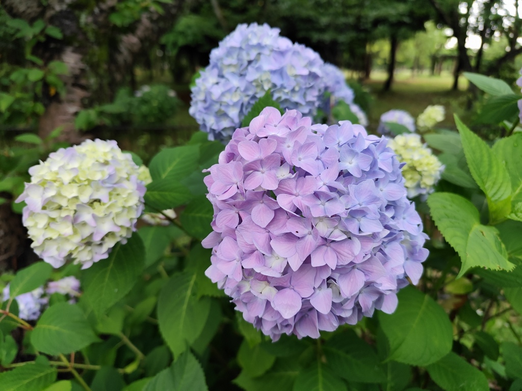 彩りグラデーション