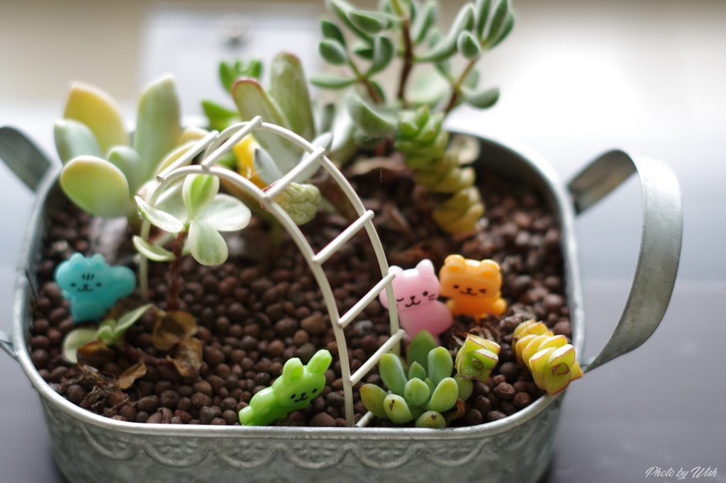 小さな癒し空間