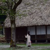 春風に吹かれて
