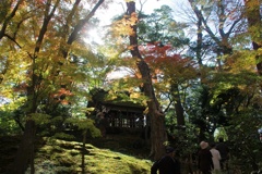 兼六園：プチ登山