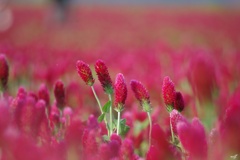 存在感