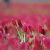 存在感