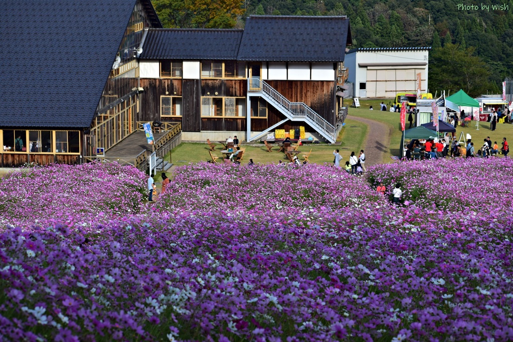 イベント会場