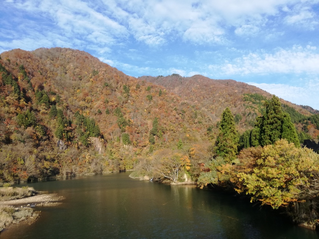 晩秋の風景