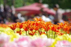 雰囲気だけでも