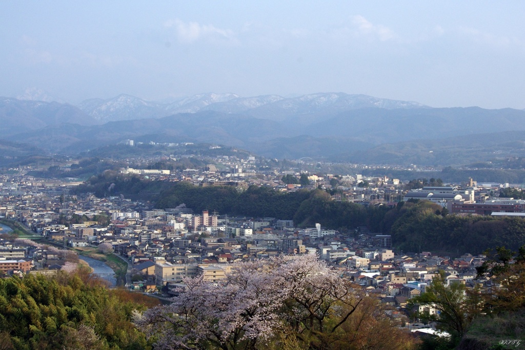 春の景色
