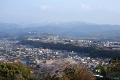 春の景色