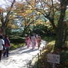 兼六園：着物美人