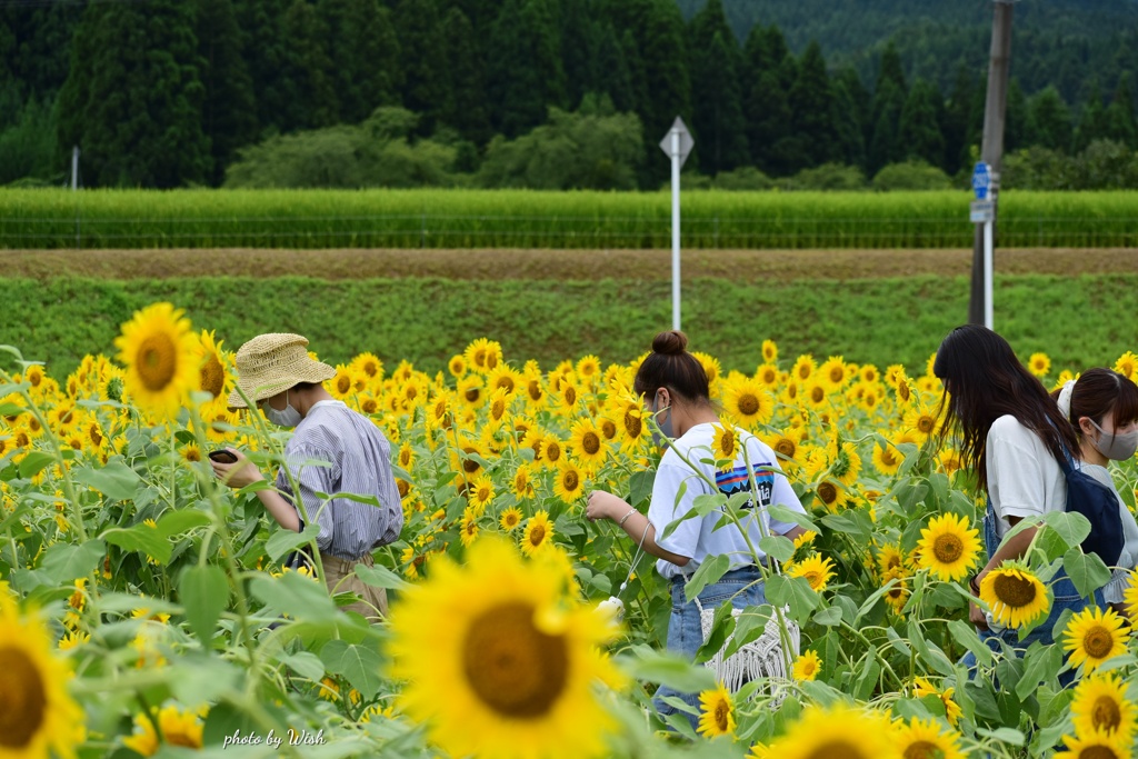 移動中