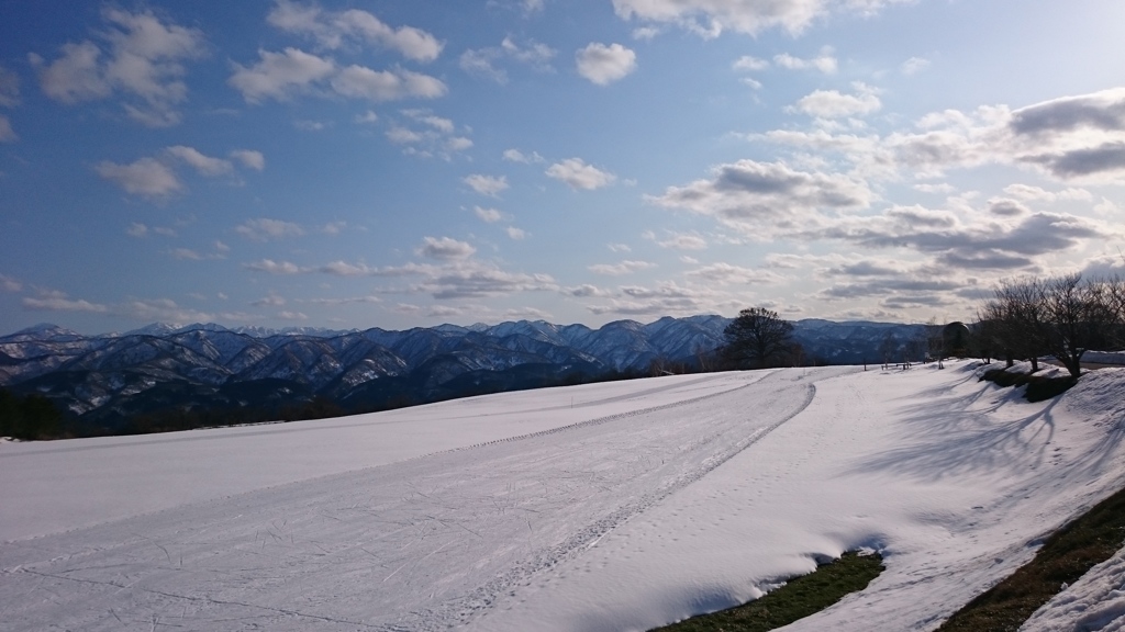 雪原