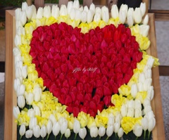 heart