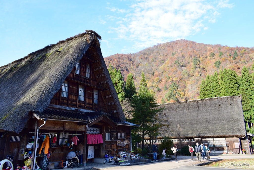 晩秋の合掌集落