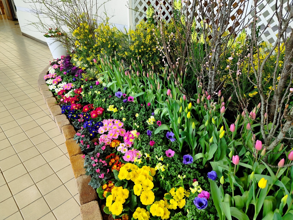 春の花園②