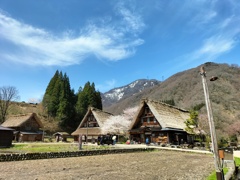 のどかな風景