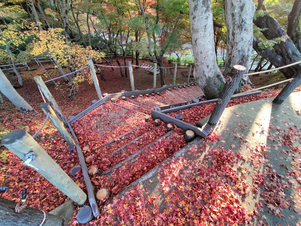 紅葉落葉　彩り絨毯