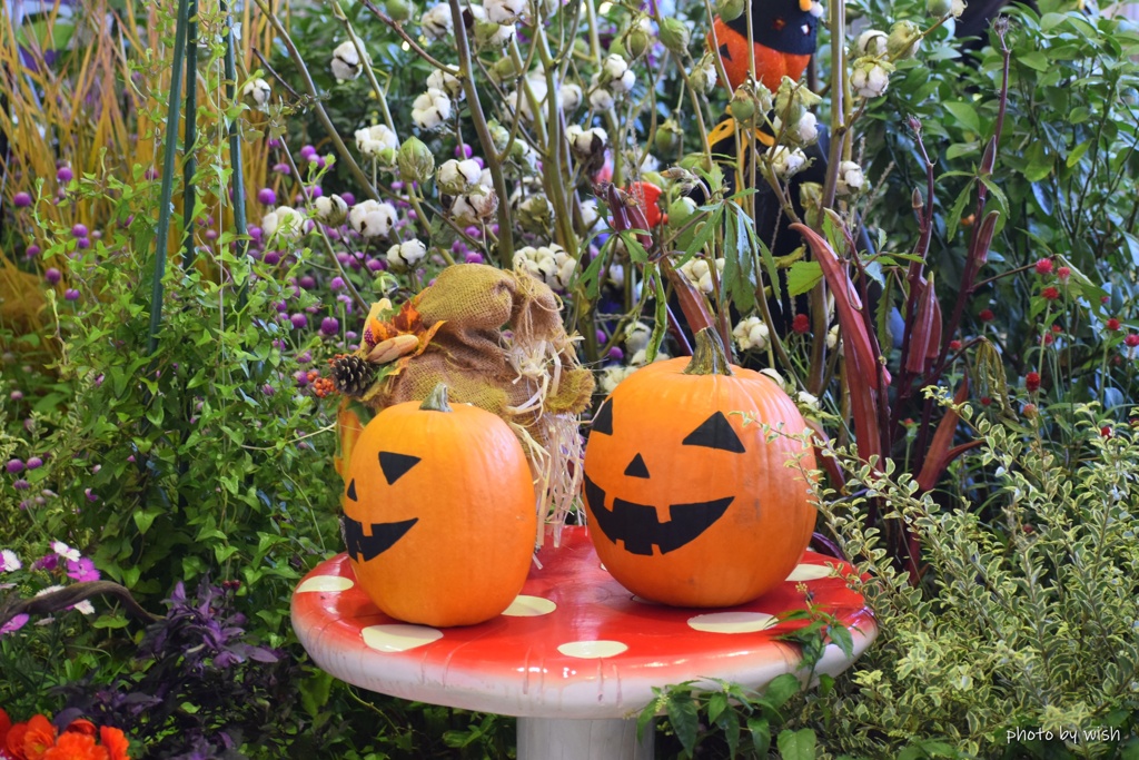 ハロウィン