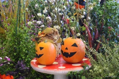 ハロウィン
