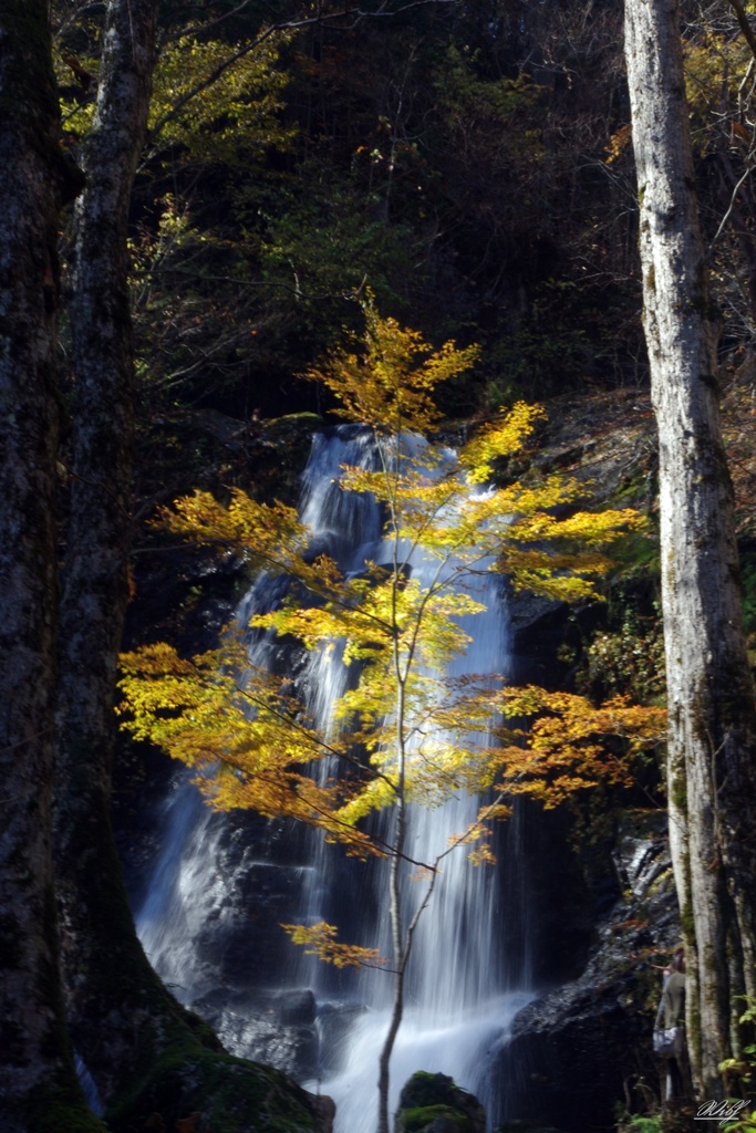 宇津江四十八滝