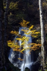 宇津江四十八滝