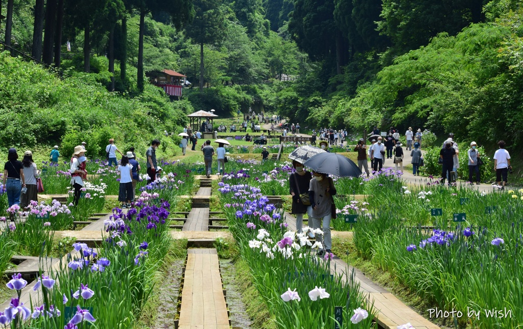 散策開始のスタート時点