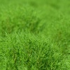 Green＆Green