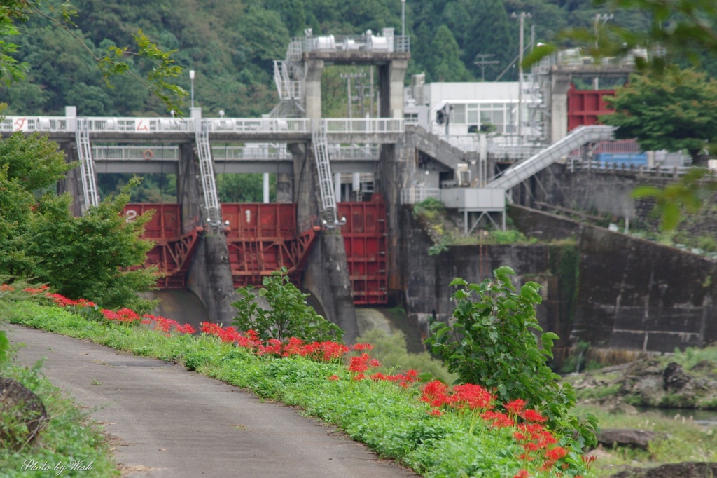 花道