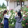 撮影を楽しむ