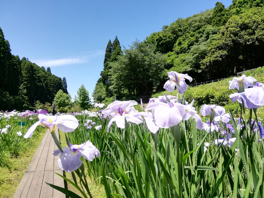 頼成の森