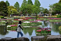 水中花壇
