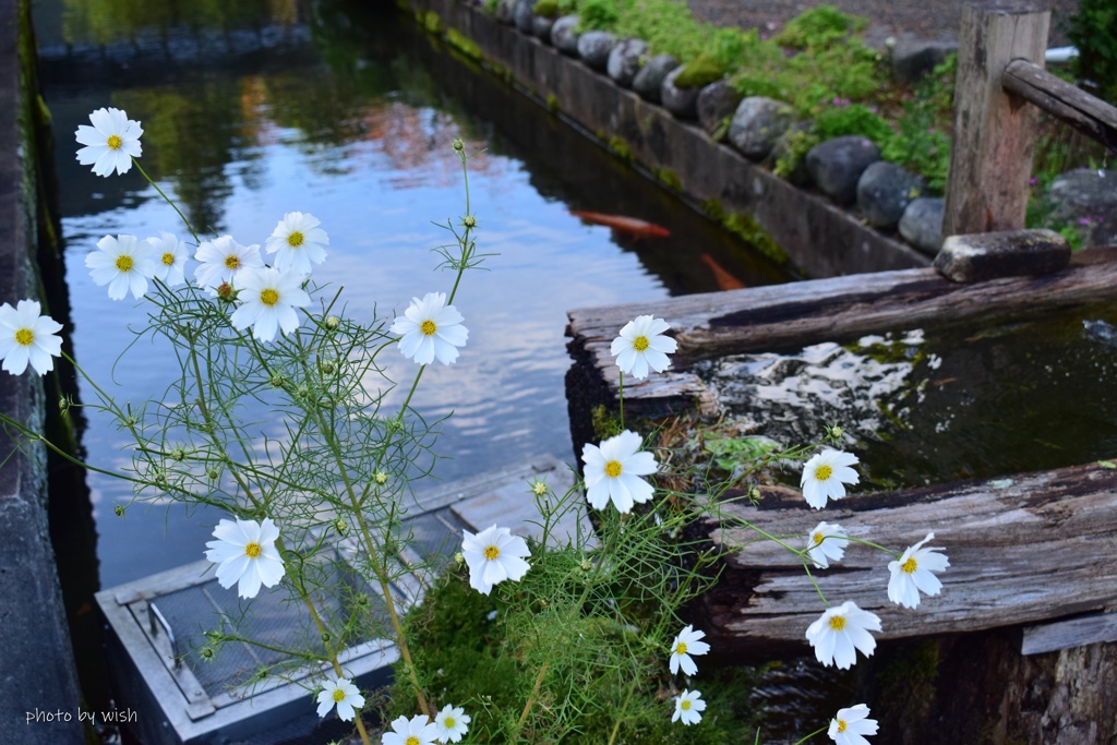 秋の風景