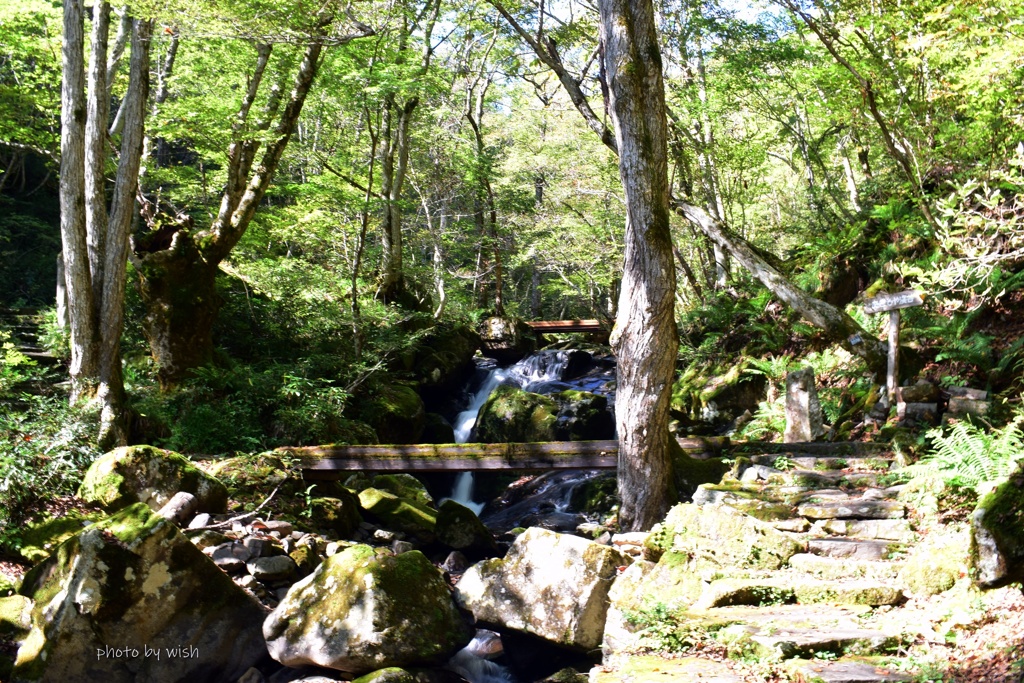 秋の宇津江四十八滝