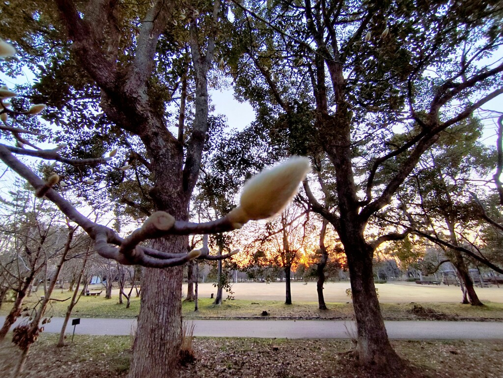 夕刻の風景