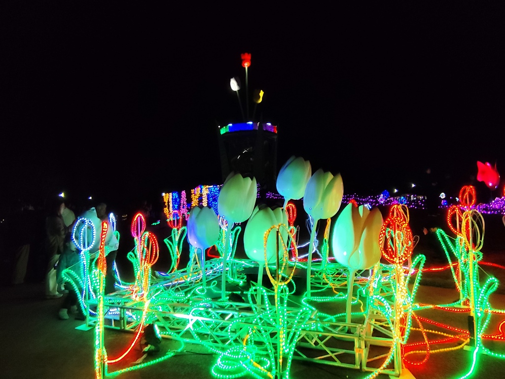 イルミネーション④