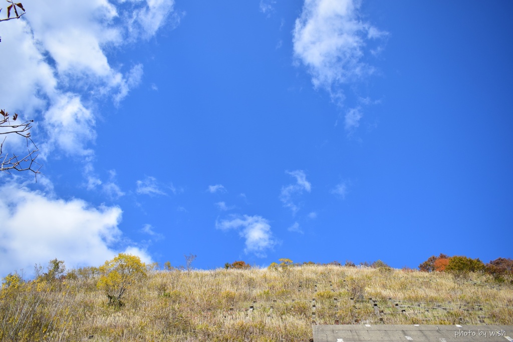 秋の青空