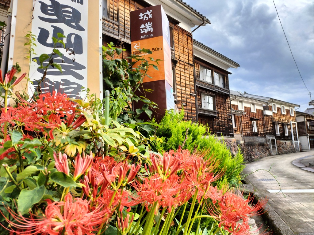 城端土蔵の彼岸花