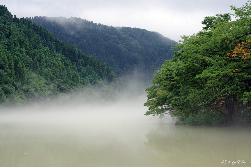 庄川峡の雨上がり