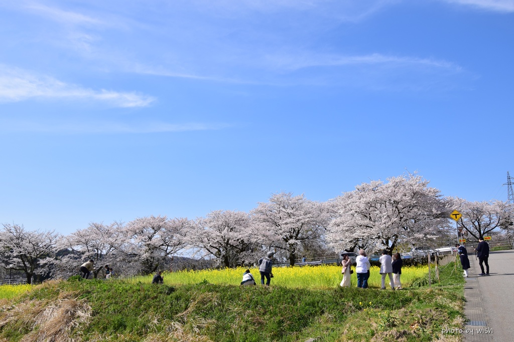 春の撮影会