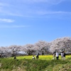 春の撮影会