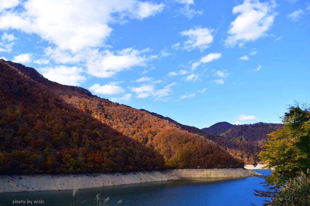 湖畔の紅葉